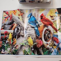 Audubon Backyard Birds Puzzle, 1000 piece Jigsaw Puzzle, Cardinal, New Unopened image 12