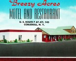 Breezy Acres Motel Cobleskill New York Ny Street Vista Vtg Cromo Cartoli... - £14.47 GBP