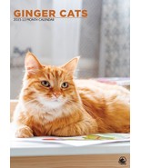 Ginger Cats A3 Calendar 2025 - Entertainment - Month To View - $11.83