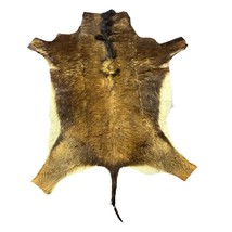 Sable Skin Rug (Tail is 14&quot;) Real Sable Antelope Hide Size 58x46&quot; D-966 - $7,302.96 MXN