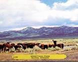 Vintage 1950s Chrome Postcard - Greetings From Burns, Oregon &quot;Stinker&quot; H... - $3.91