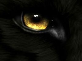 HAUNTED FULL COVEN 50X RAVEN EYES SEE ALL HIGH MAGICK WITCH CASSIA4 ALBINA image 2