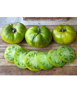 SKM 50 Seeds Tasty Evergreen Tomato Tomatoe Vegetable Easy to Grow - $201.57 MXN