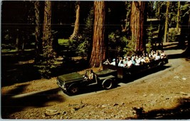 Tram at Mariposa Grove Yosemite National Park California Postcard - £3.97 GBP