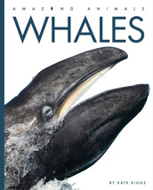 Amazing Animals - New Edition Series, largest ocean animals/whales -Hardcover - $30.77