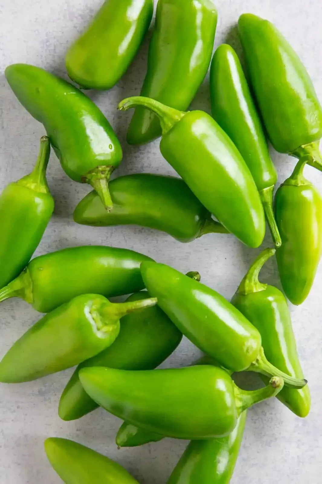 JALAPENO PEPPERS 10 VEGETABLE SEEDS  - $6.31