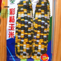 Heirloom Big Haierbin Colorful Sticky Corn Organic 10+ 100% True Edible ... - £7.06 GBP