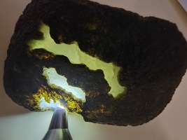 Item image 14