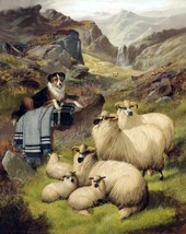 Framed canvas art print giclée john barker guarding the sheep - £31.64 GBP+