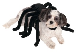 Rubies Spider Harness Costume for Dogs or Cats Black Halloween - £15.81 GBP