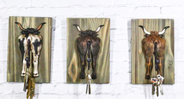 Set of 3 Rustic Western Steer Bulls Hind Butt Coat Wall Hooks With Woode... - $39.99