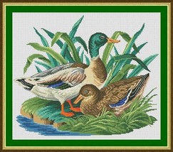 Wild Ducks Antique Birds Berlin Woolwork Counted Cross Stitch Pattern PDF - £5.50 GBP