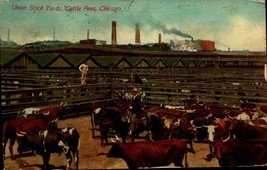 Postcard 1910&#39;s Union Stock Yards Cattle Pens Chicago Illinois IL postcard bk50 - £3.89 GBP