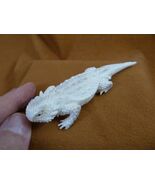 (LIZ-W24) bearded dragon Horned Lizard of shed ANTLER figurine Bali deta... - $3,301.75 MXN
