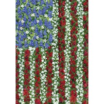 Toland Home Garden 109592 Field Of Glory Patriotic Flag 28x40 Inch Double Sided  - £24.51 GBP