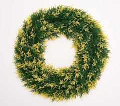 Wicker Park 22&quot; Cedar Wreath - $48.48