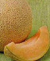 50 Seeds Early Delicious 51 Cantaloupe Seeds - £20.75 GBP