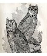 Large Horn Owl Victorian 1856 Bird Wood Engraving Antique Nature Ephemer... - $56.04 CAD