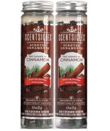 2 ScentSicles Scented Ornament Two Dashes of Cinnamon Holiday Air Freshe... - $9.72