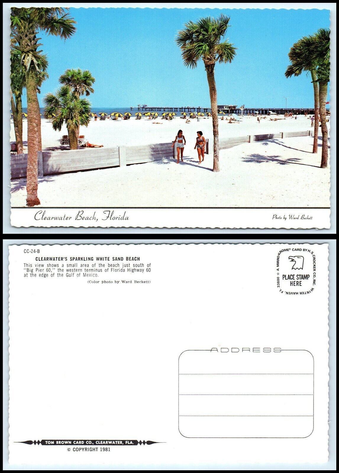 Primary image for FLORIDA Postcard - Clearwater Beach, General View GY