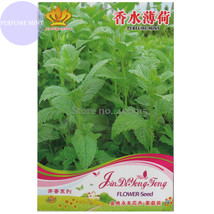 SL Heirloom Perfume Mint Mentha Arvensis Wild Mint Herbs, Original Pack,... - $1.38