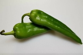 Rattlesnake Chili Pepper, Nu Mex Chile, Hatch, Spicy, Free Shipping Fresh - £6.25 GBP