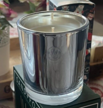 Aquiesse Fireside Spice Luxury Soy Candle in Silver Metallic Glass Vessel 9 Oz - $39.59