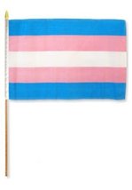 US ENERGY 2x18 12&#39;&#39;x18&#39;&#39; Wholesale Lot of 3 Gay Pride Transgender Stick Flag Woo - £10.29 GBP