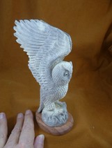 (OWL-33) extra large Horned owl shed ANTLER figurine Bali detailed carving - $760.14