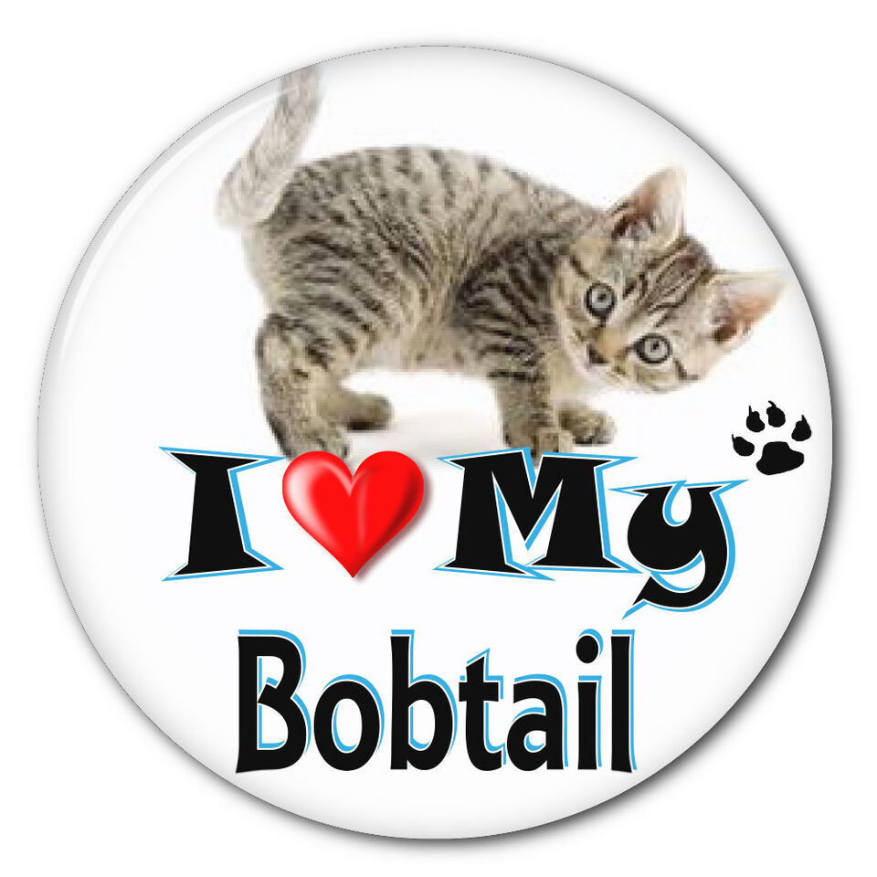 I LOVE MY BOBTAIL KITTEN CAT 3&quot; SAFETY PIN BACK BUTTON - $6.29