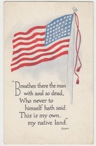 Patriotic Flag Postcard 1917 Blackwell OK This Is My Own My Native Land - $2.99