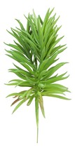 Pack Of 6 Realistic Lifelike Artificial Green Pine Stem Filler Botanicas... - £48.06 GBP