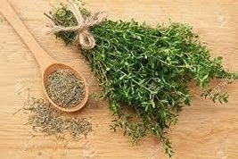 Thyme Herb Seed, Non-GMO, 50 Seeds, One of The Most Useful Herbs for The Kitchen - £1.59 GBP