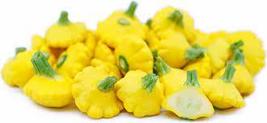 FREE SHIPPING  Yellow Bush &quot;Patty Pan&quot; Scallop Squash Seeds 100 seeds - £9.50 GBP