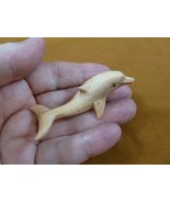Q201-12 little small baby Dolphin calf Satinwood WOOD wooden FIGURINE do... - €12,89 EUR