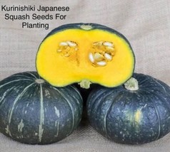 New 10 Seeds Japanese Kabocha Squash Kurinishiki Asian Pumpkin Fresh Gar... - $9.50