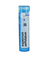 Boiron Eupatorium Perfoliat 30 C, 80 Pellets - $15.31 CAD
