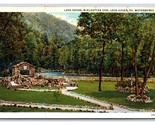 Lava House McElhattan Dam Lock Haven Pennsylvania PA UNP WB Postcard N20 - $1.93