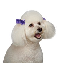 48pc Grosgrain Loop Curled Dog Ribbon Hair Bow w/BARRETTE Clip Grooming Top Knot - £24.04 GBP