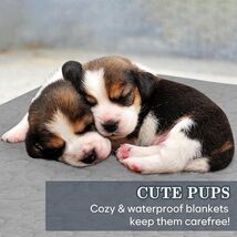 Waterproof Stuffed Dog Bed Cover Blanket Reversible Paw Print Grey 52x82 - $114.43 MXN Waterproof Stuffed Dog Bed Cover Blanket Reversible Paw Print Grey 52x82 - $114.43 MXN