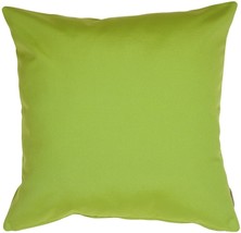 Sunbrella Macaw Green 20x20 Outdoor Pillow, with Polyfill Insert - £43.46 GBP