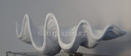 NauticalMart Large White Clam Shell Beautiful Seashell Bowl - £118.07 GBP
