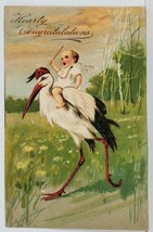 Congratulations Baby Riding Stork 1907 Embossed to Peruville Postcard M13 - £9.55 GBP