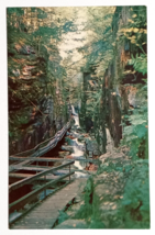 Franconia Notch Flume Gorge Chasm New Hampshire NH Plastichrome Postcard c1960s - £4.09 GBP