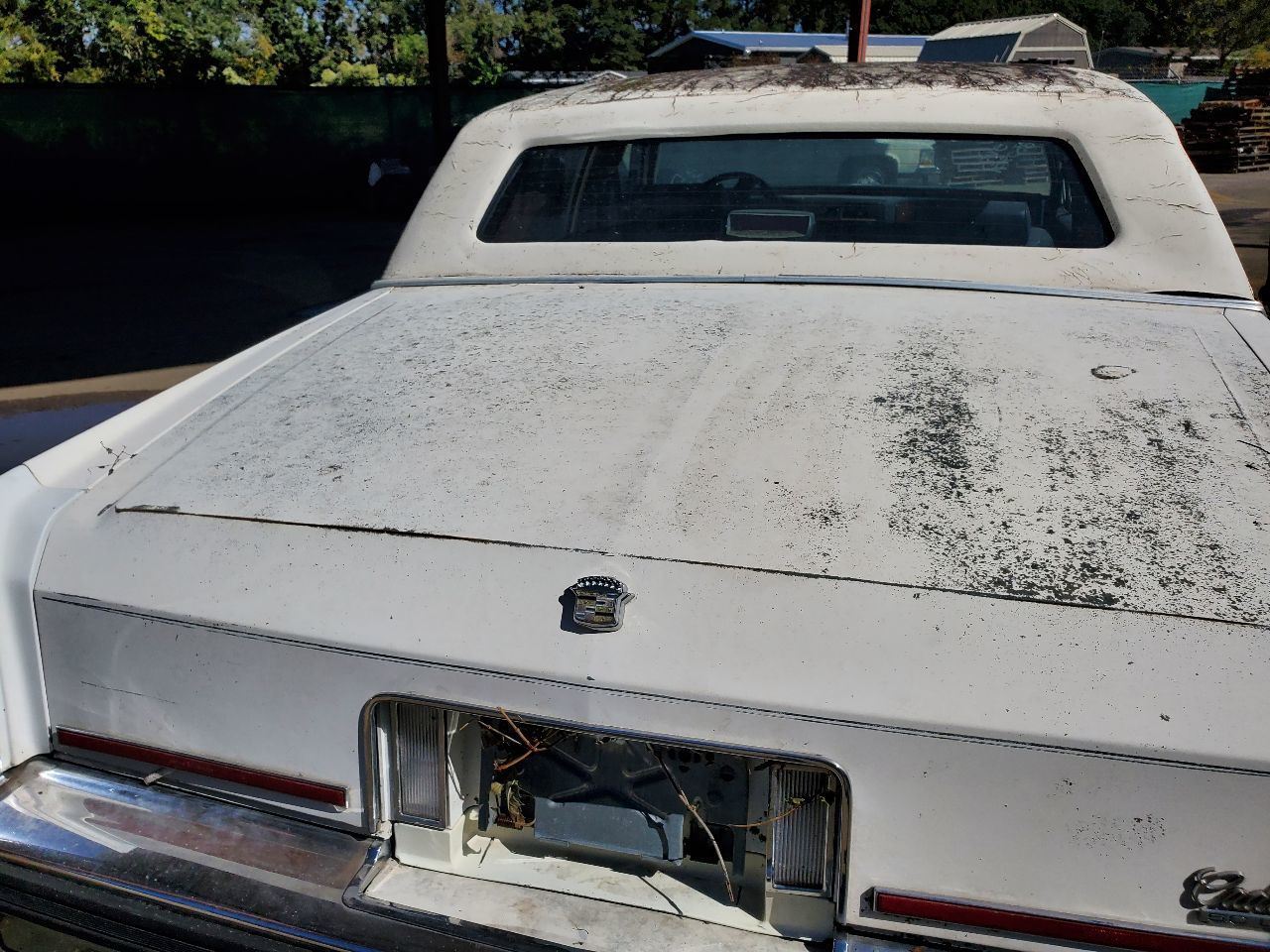 1987 1988 1989 Cadillac Brougham OEM Rust Free Bare Frame  Item image 8