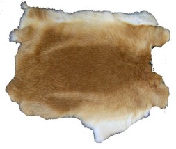 6 NATURAL LIGHT BROWN GENUINE RABBIT SKIN new tan hide pelt craft skins ... - £22.70 GBP
