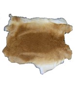 6 NATURAL LIGHT BROWN GENUINE RABBIT SKIN new tan hide pelt craft skins ... - $28.49