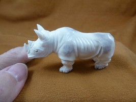 (rhino-w19) little white Rhinoceros Rhino of shed ANTLER figurine Bali d... - £147.77 GBP