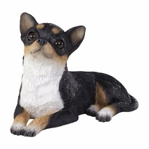 Chihuahua TRI small size - £54.39 GBP