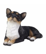 Chihuahua TRI small size - £55.20 GBP